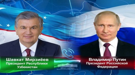 Ўзбекистон ва Россия президентлари ҳамкорлик масалаларини муҳокама қилдилар