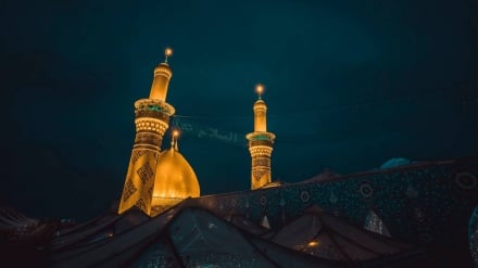 «مشورت کردن، چشمه هدایت است»؛ ۹ سخن آموزنده از امام علی