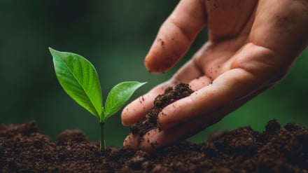 از حقوق طبیعت و حیوانات در اسلام چه می‌دانید؟ نگاهی به چند آموزه‌ قرآنی و روایی