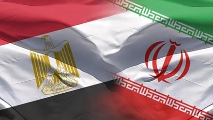 تحلیلگران مصری: تمام قد در کنار ایران علیه رژیم استعماری اسرائیل هستیم